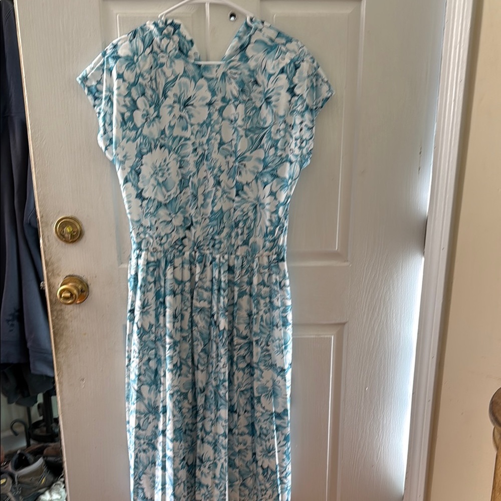 Floral Blue and White Dress
